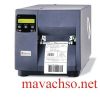 may-in-ma-vach-datamax-4212