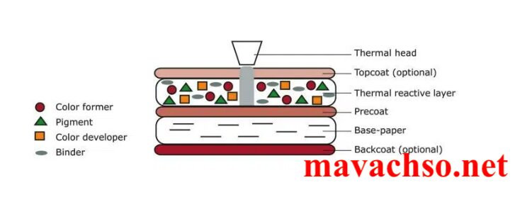 Cấu tạo giấy nhiệt