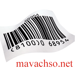 mavachso.net