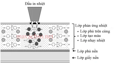 Sơ đồ giấy in nhiệt
